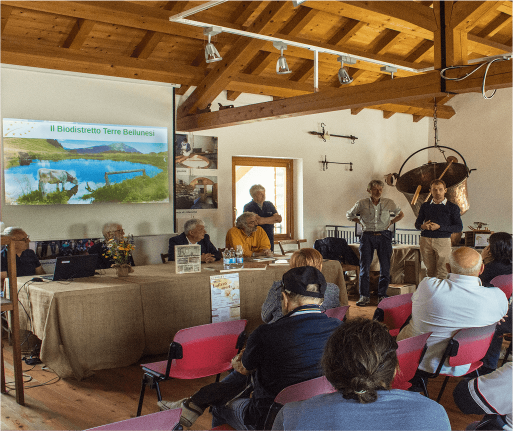 No alternative text provided